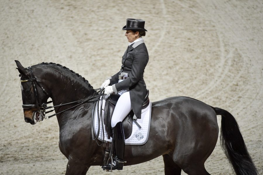Jessica Gow/TT | Janne Näsström från Cirkusakademien menar att samma lagar och regler borde gälla för häst- och hundsporterna som för cirkusdjuren.