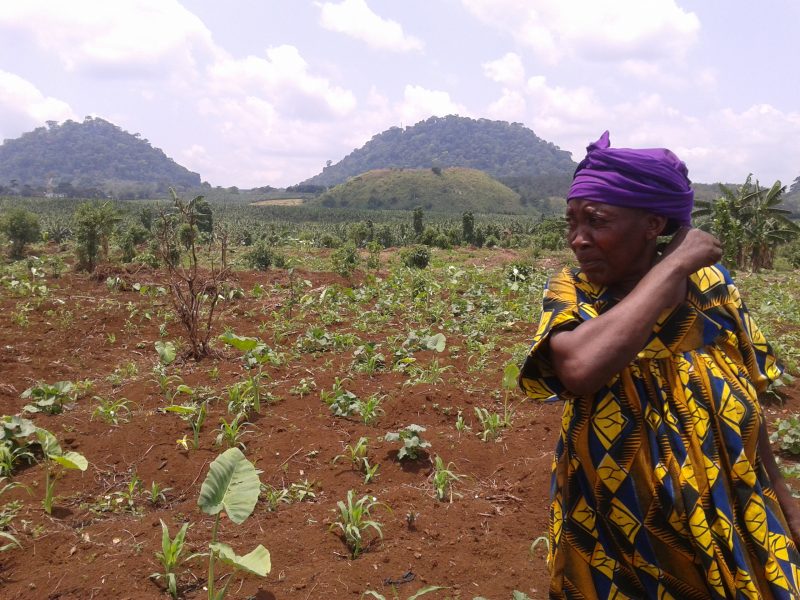 Ndomi Magareth sår bönor på sin lilla jordbruksmark i Njombe i Kamerun.