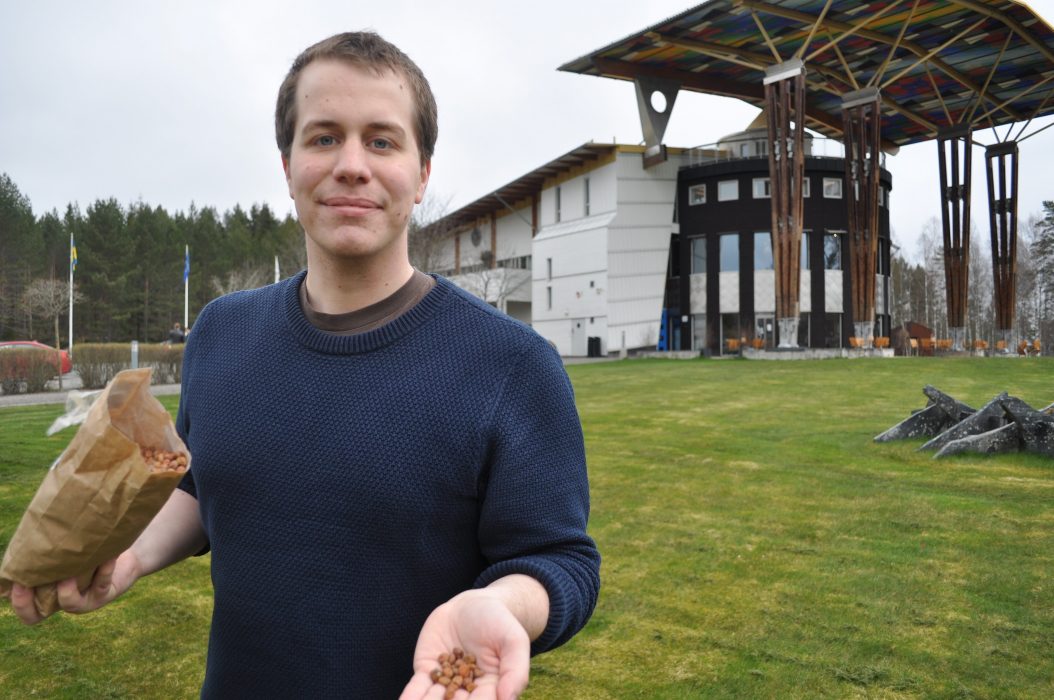 Hans Lundholm/Örebro universitet | Forskaren Magnus Westling driver projektet där filodegsrullar med gråärta ska testas på skolelever.