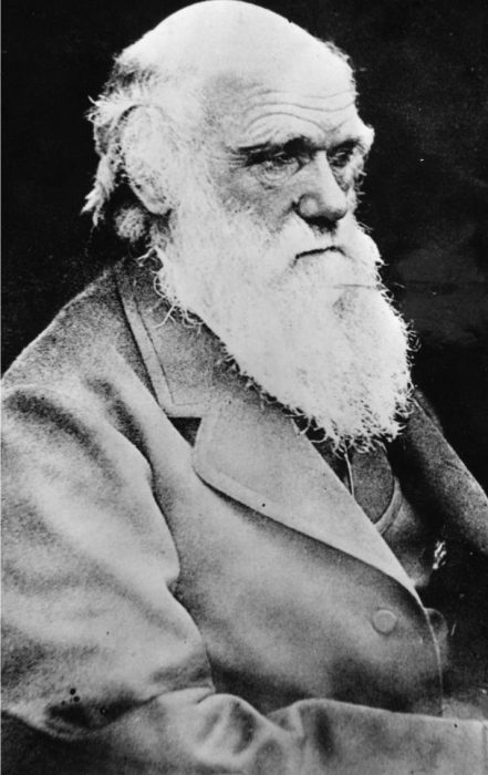 AP/TT | Biologen och geologen Charles Darwin.