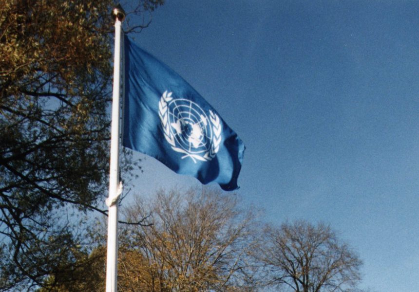 Ola Torkelsson/TT | Med anledning av FN-dagen den 24 oktober skriver debattörerna att Sverige behövs i FN.