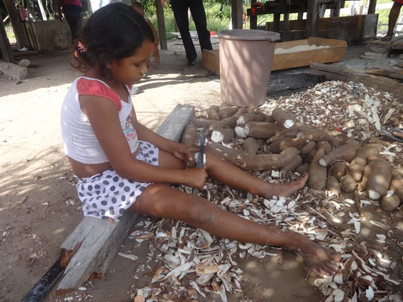 Fabiana Frayssinet/IPS | En flicka hjälper till att skala kassava i Acará i nordöstra Amazonas.