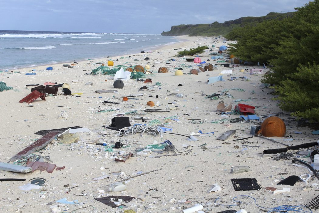 Jennifer Lavers/AP/TT | FN uppskattar att cirka åtta miljoner ton plast hamnar i haven varje år.