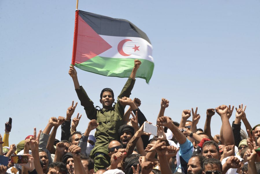 Medlemmar av Polisario med det som rörelsen kallar Västsaharas flagga.