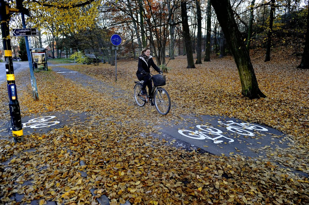 Jessica Gow/TT | Cyklister känner sig friskare än andra trafikanter, enligt en studie som genomförts i sju europeiska städer.