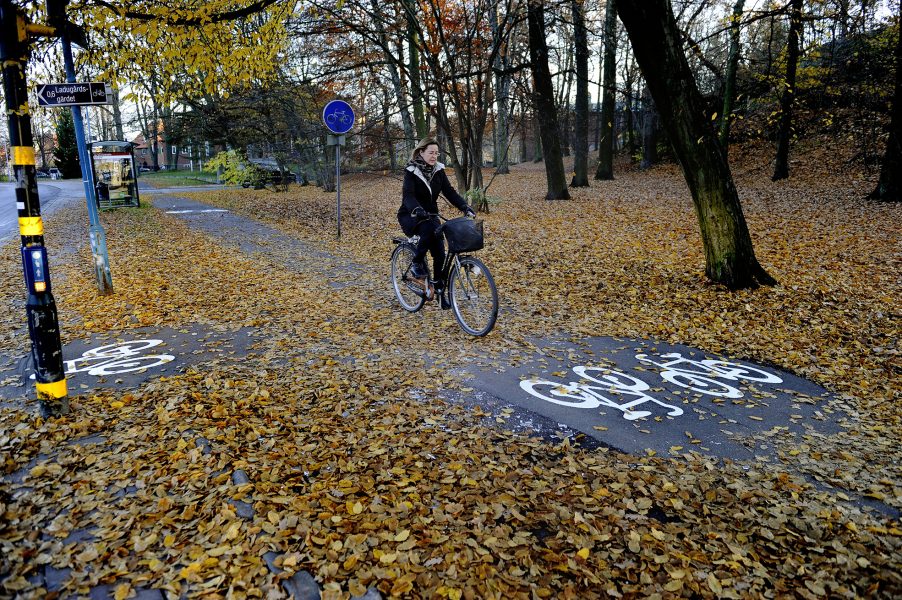 Jessica Gow/TT | Cyklister känner sig friskare än andra trafikanter, enligt en studie som genomförts i sju europeiska städer.