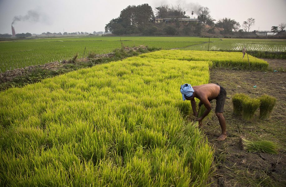 Anupam Nath/AP/TT | FN:s råd för mänskliga rättigheter har lagt fram två förslag för att bland annat skydda människor på landsbygden från storföretag.