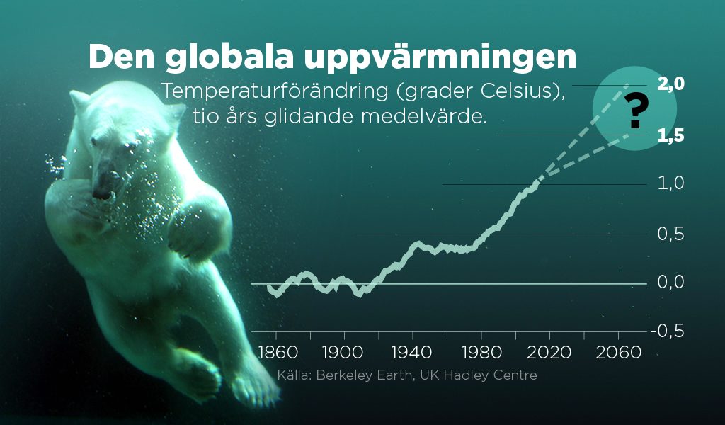 Petra Frid/TT | Grafen visar den globala uppvärmningen över tid.