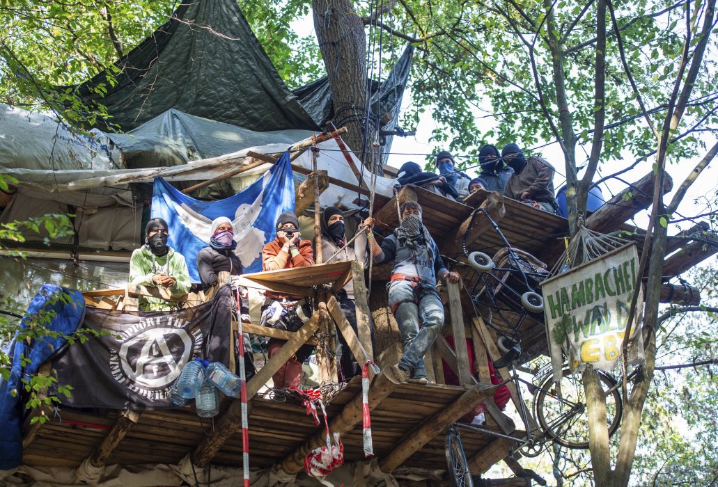 Demonstranter har byggt kojor i Hambachskogen för att rädda den undan gruvbrytning.