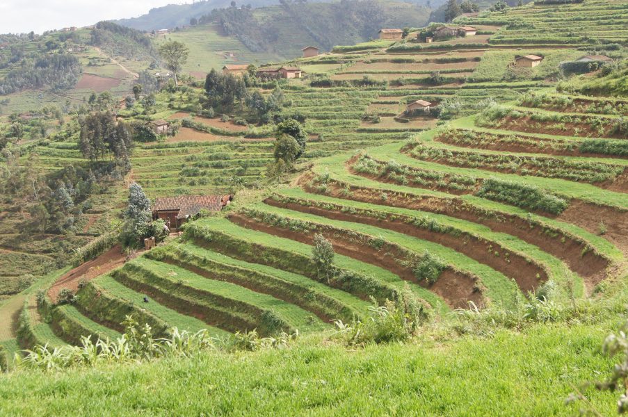 Aimable Twahirwa/IPS | Terasser byggs över sluttningar för att förhindra jorderosion i distriktet Rulindo i norra Rwanda.