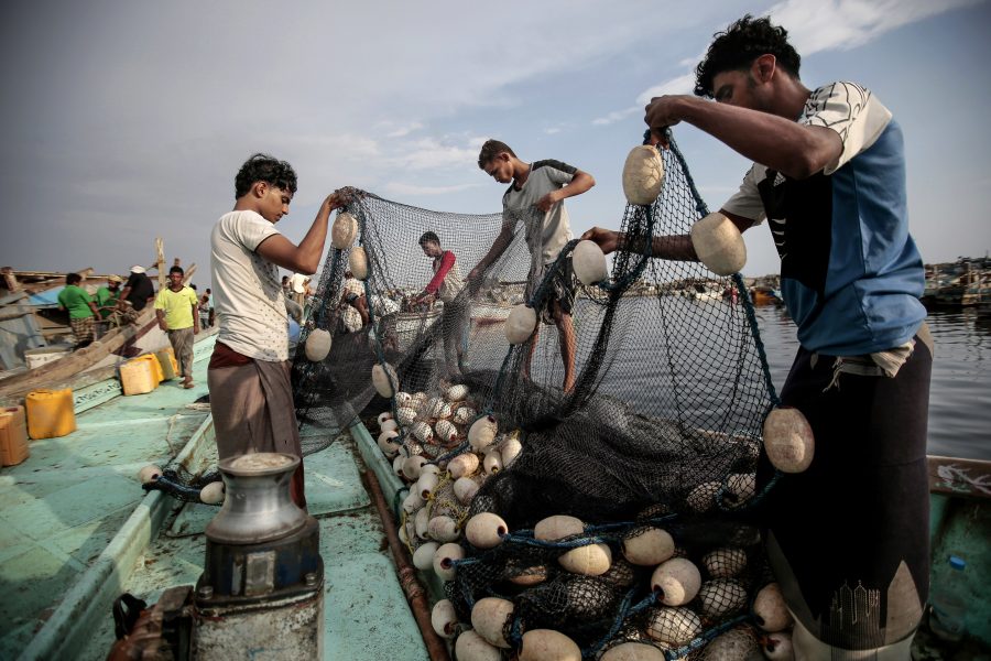 Hani Mohammed/AP Photo/TT | Fiskare från Hadeida, Jemen.