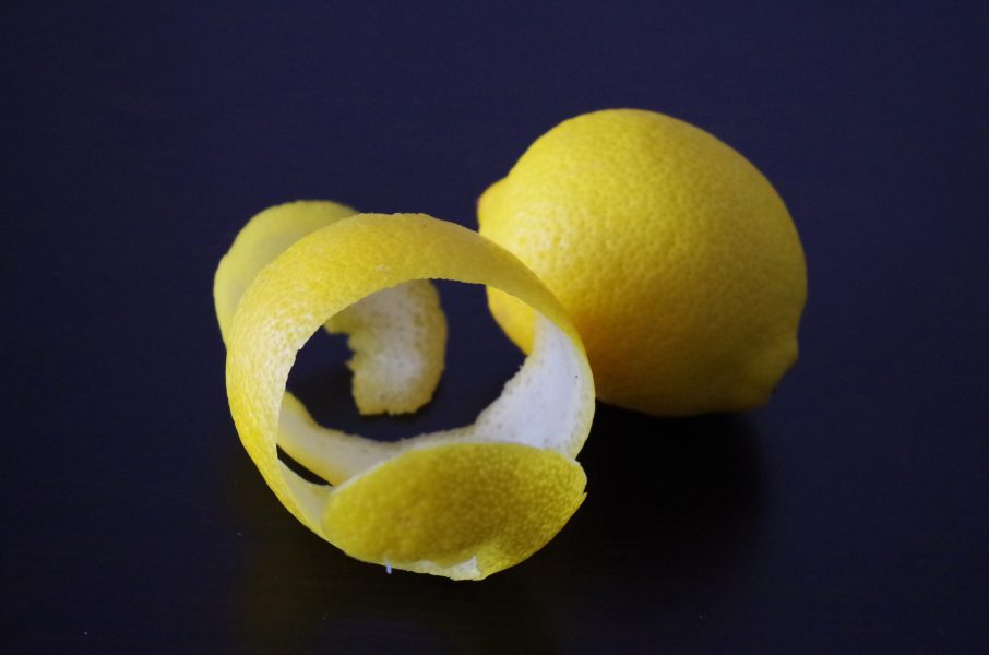 Kan citrusskal bli veganskt läder? Det har Maria Nordin bevisat.