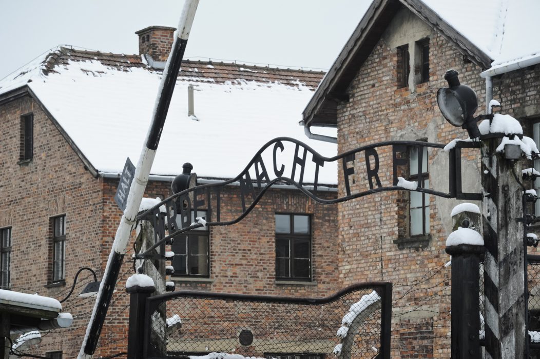 Genia Johannesson överlevde Auschwitz och fick hjälp att fly till Sverige.