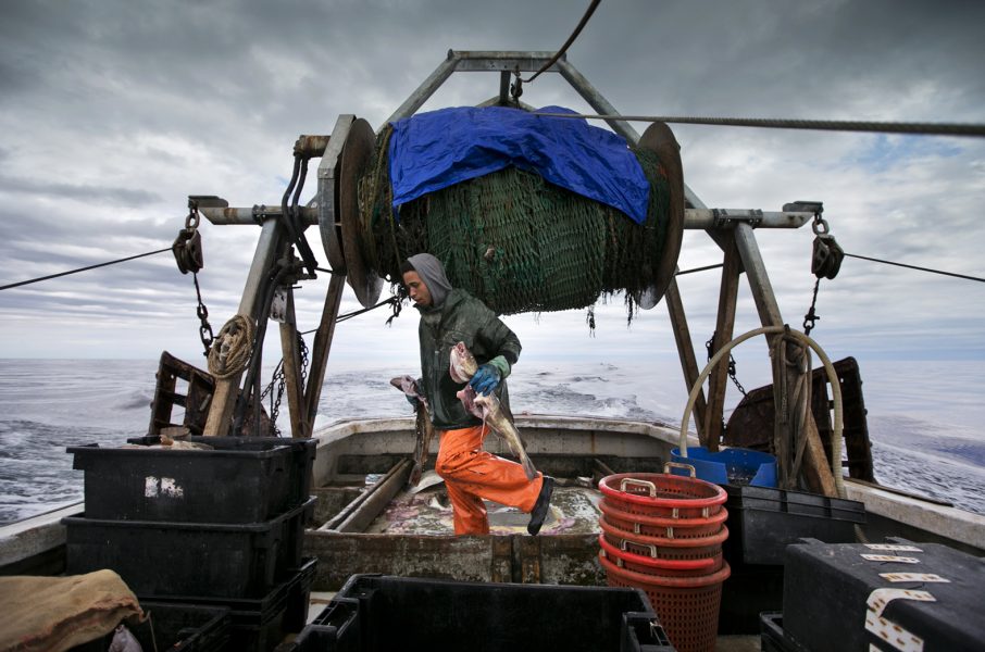 En fiskare med fångad torsk i Nordatlanten.