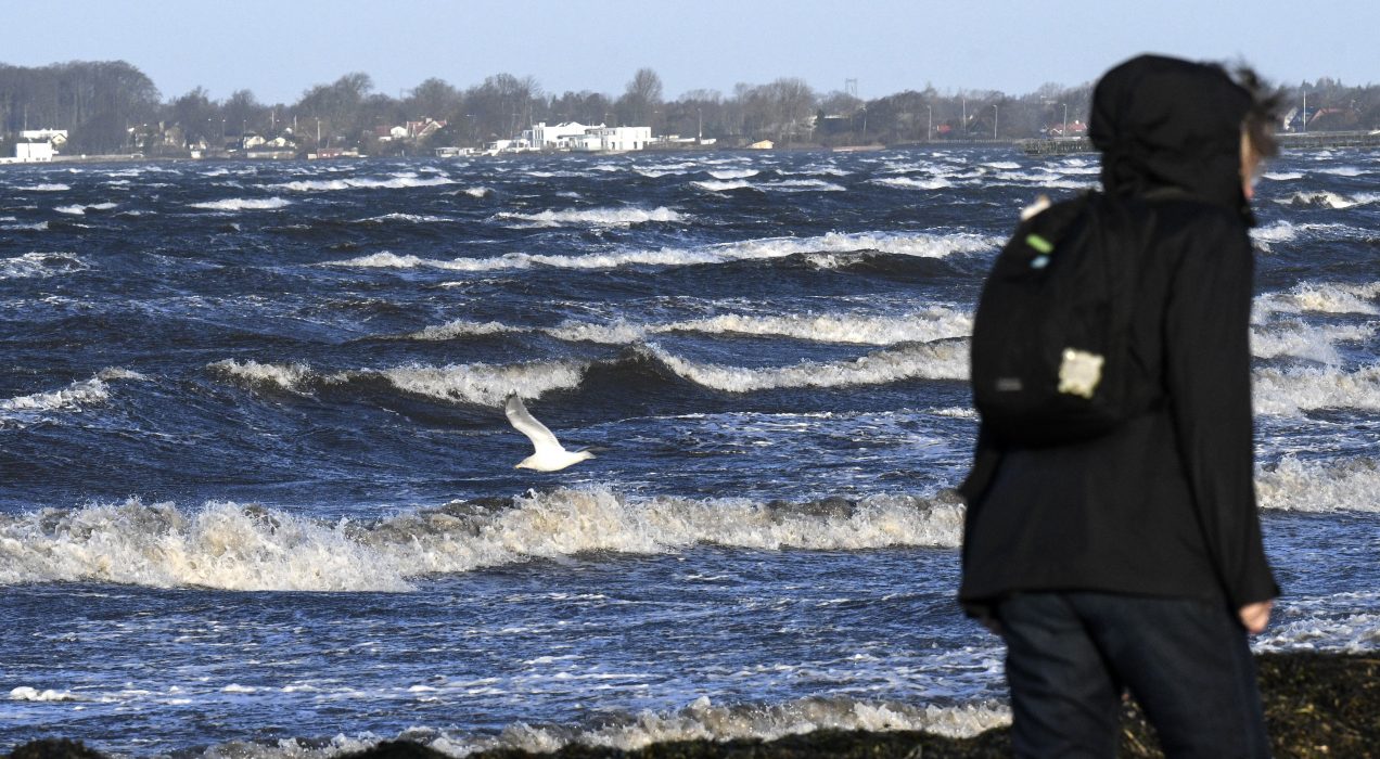 Julstormen Urd i Malmö 2016.