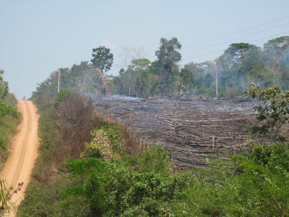 Svedjebränning av skog i Amazonas för att ge plats för betesmark och odlingar.