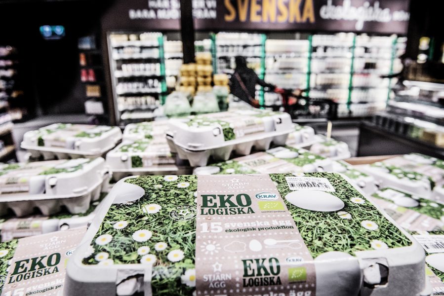 Försäljningen av ekologiska livsmedel i Sverige kommer öka med en miljard kronor varje år, enligt Ekowebs långtidsprognos.