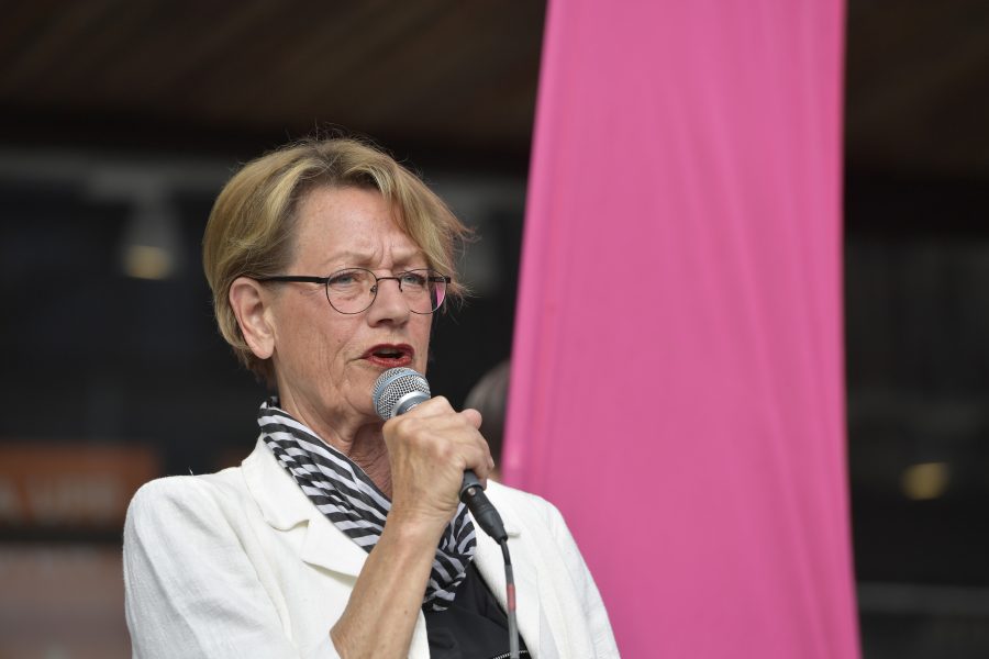 "Vi finns också för miljöpartister som prioriterar förändring framför förvaltning", skriver Feministiskt Initiativs partiledare Gudrun Schyman.