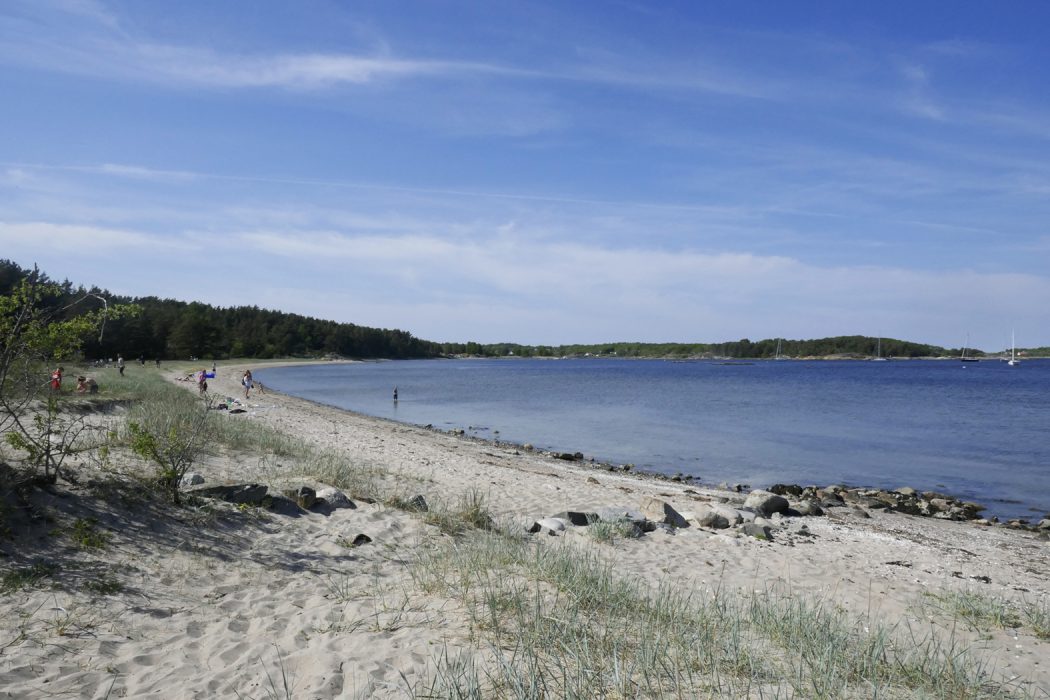 Strandskyddet måste bevaras i sin nuvarande form och inte ändras, enligt Naturskyddsföreningen.