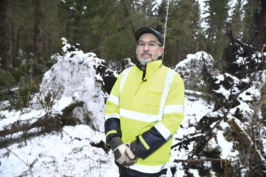 Claudio Bresciani/TT | Skogsägaren Stefan Lindskogs ägor drabbades hårt av stormen Alfrida.