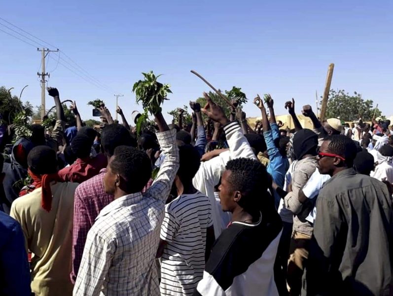 I december togs beslut om att trefaldiga brödpriserna i Sudan vilket resulterade i den senaste månadens våldsamma sammandrabbningar mellan demonstranter och polis.
