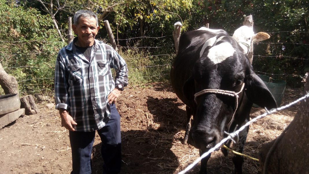 Gilberto Gómez bor i byn La Colmena, i Candelaria de la Frontera i västra El Salvador.