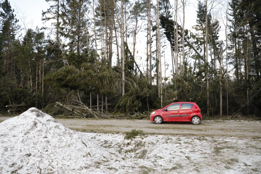 Christine Olsson/TT | Stormskadad skog vid Finsta i Norrtälje kommun.