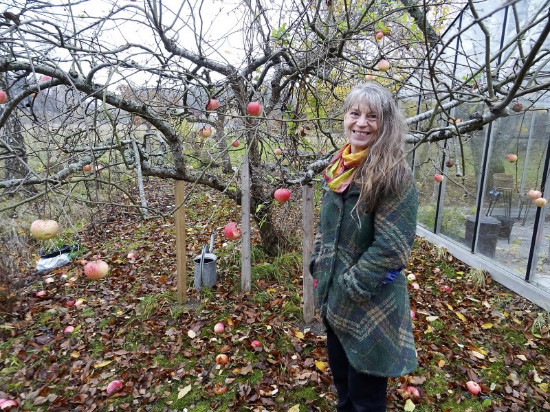 Eva Solhäll vid äppelträdet som växer och frodas i hälsoträdgården.