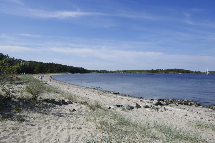 Erik Johansen/AP/TT | Strandskyddet måste bevaras i sin nuvarande form och inte ändras, enligt Naturskyddsföreningen.