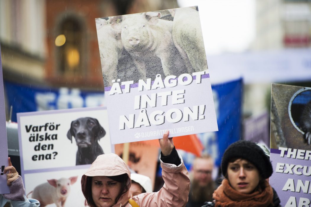 Djurens parti menar att massmedia bara visar ena sidan av myntet och att det lidande som många djur utsätts för borde uppmärksammas mer.