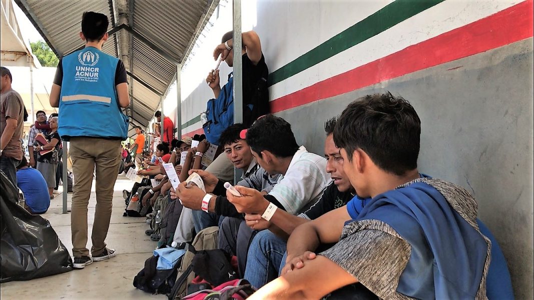I staden Tapachula och i andra gränsstäder i södra Mexiko arbetar anställda vid FN:s flyktingorgan UNHCR och Internationella migrantorganisationen IOM med att se till att migranterna får humanitära visum.