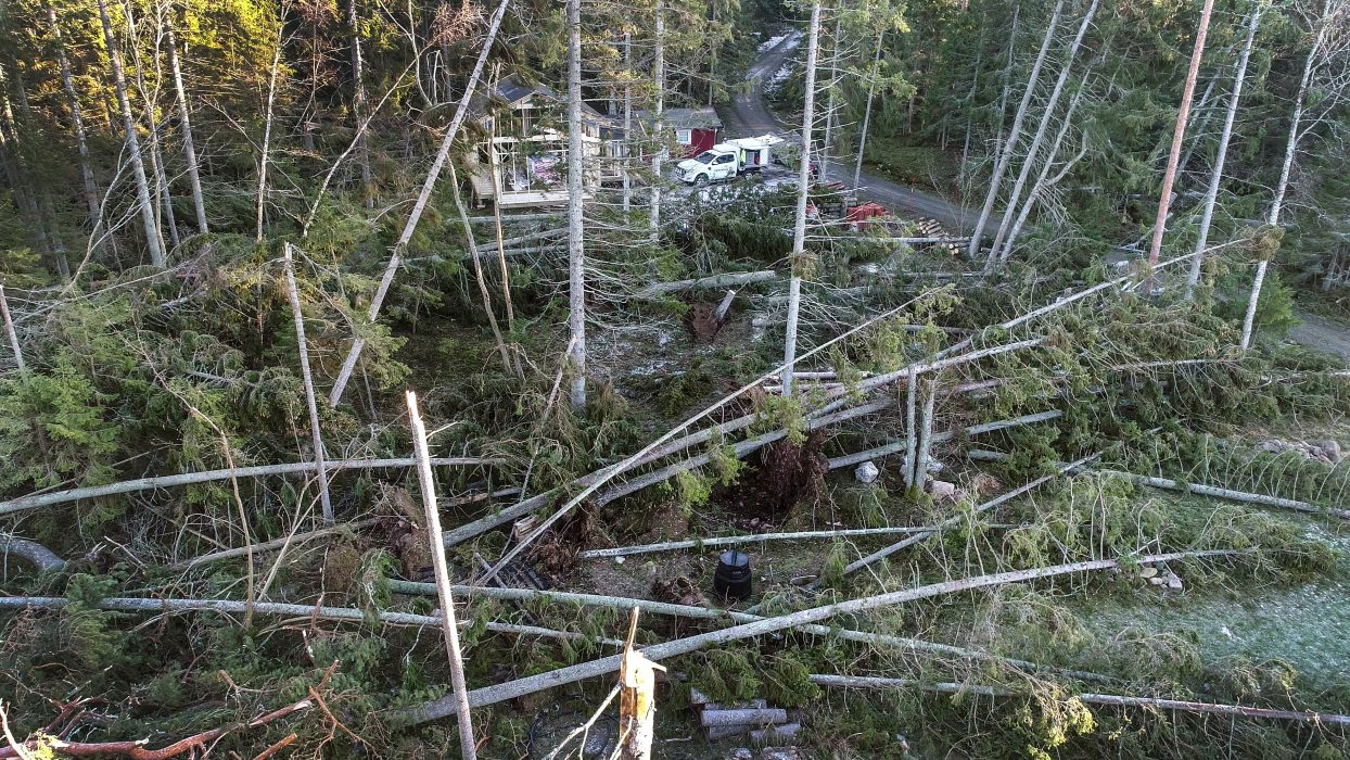 Anders Wiklund/TT | Arholma i Norrtäljes skärgård drabbades hårt av stormen Alfrida.