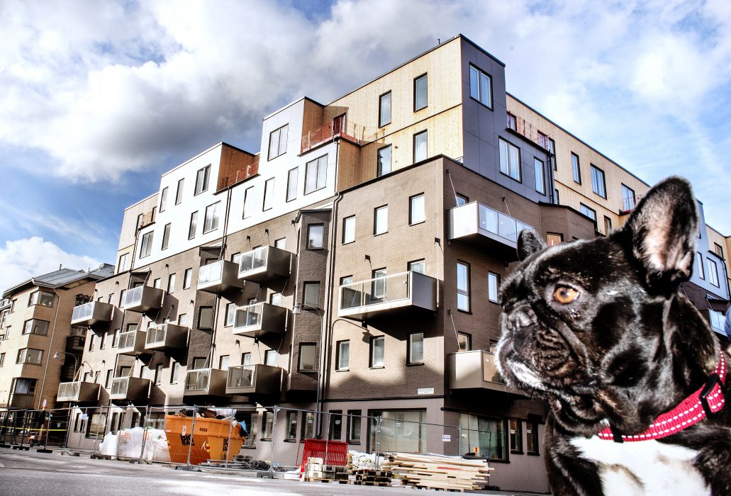 Nyproducerade bostäder på Starrbäcksgatan i Sundbyberg.