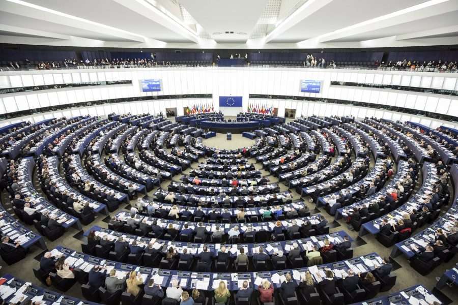 De EU-kritiska, högernationalistiska partierna i Europa väntas skörda stora framgångar i valet till EU-parlamentet.