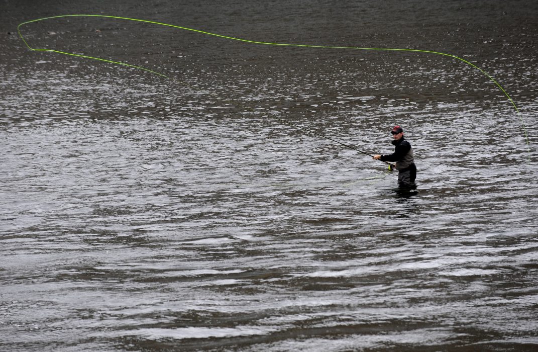 Sportfiskarna vill att laxfiskereglerna anpassas bättre till hur många laxar som stiger i älvarna under en fiskesäsong.