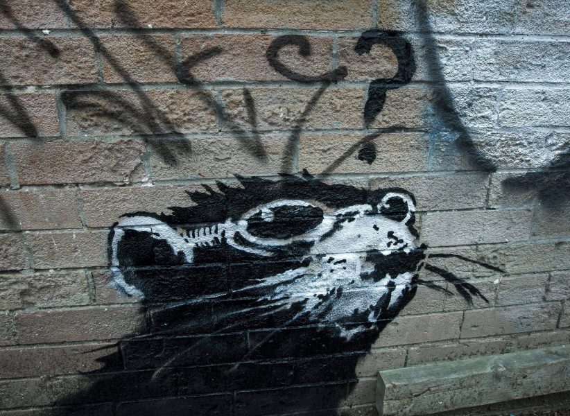 Råttan har gatukonstnären Banksy målat i Toronto.