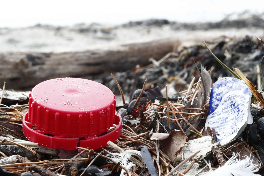 Världen har underskattat mängden plast som begravts längs kuststräckor enligt en ny studie.