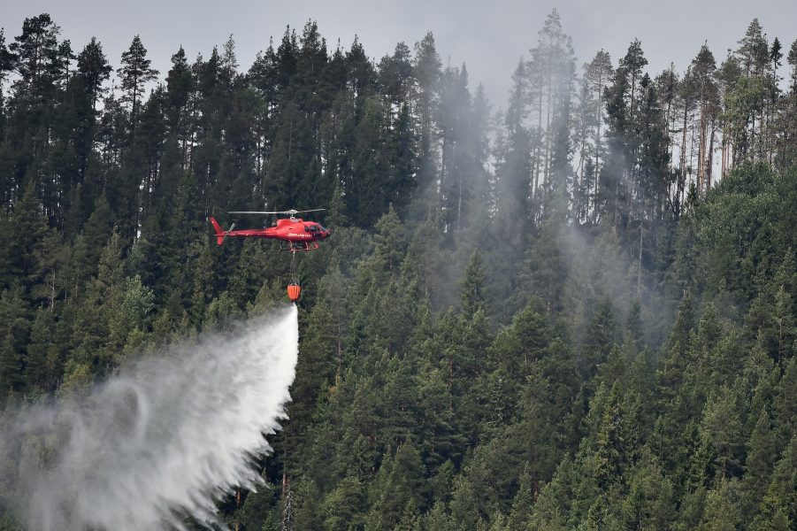 En helikopter samlar vatten under en skogsbrand i Jämtland sommaren 2018.