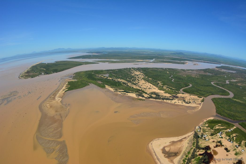 Slam i vattnet vid Burdekin-floden i Queensland, Australien.