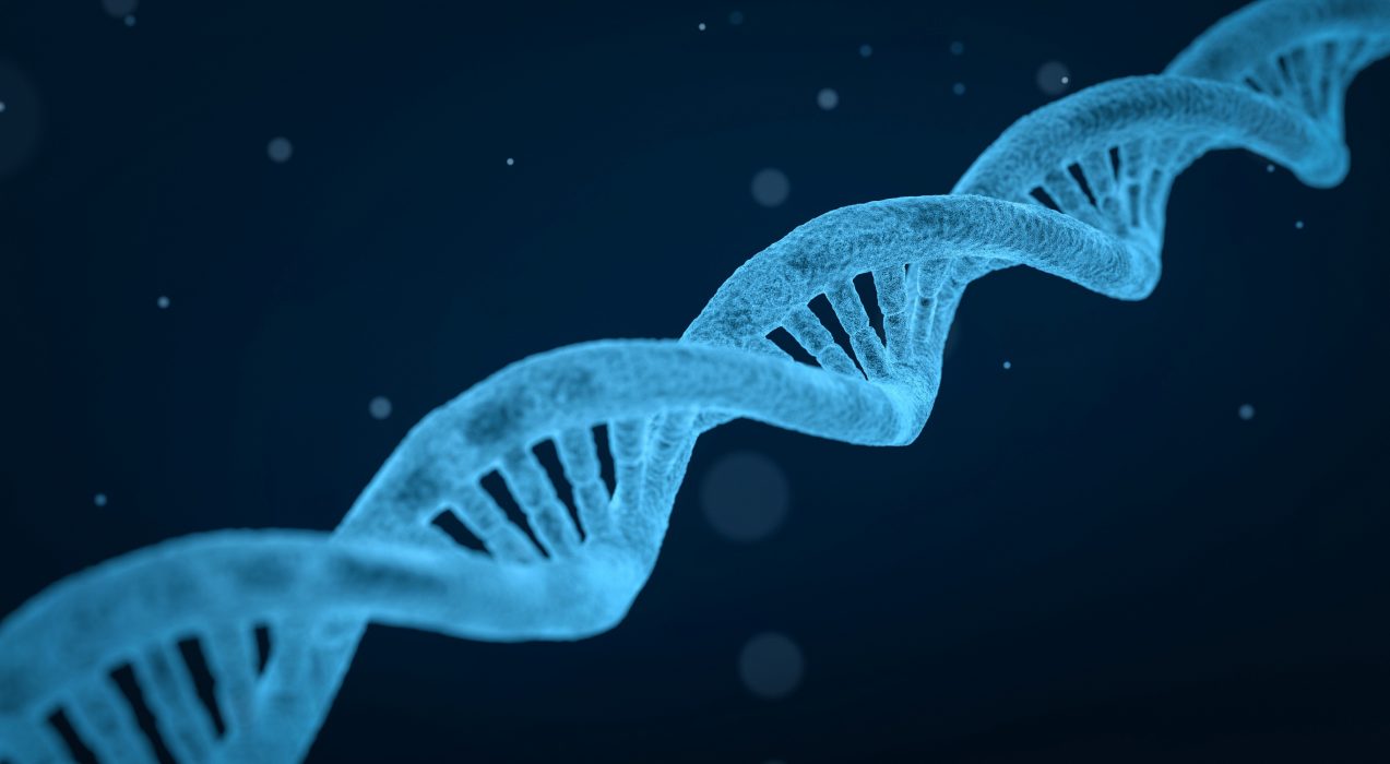 En dna-sträng är cirka två nanometer bred.