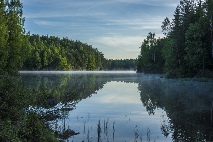 Storsjöns naturreservat nära Viskafors, ungefär en mil sydväst om Borås.