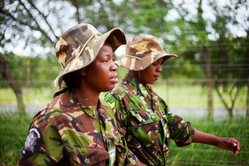 Varje morgon patrullerar Black mambas rangers till fots längs med staketet som utgör gränsen till Balule Nature reserve.