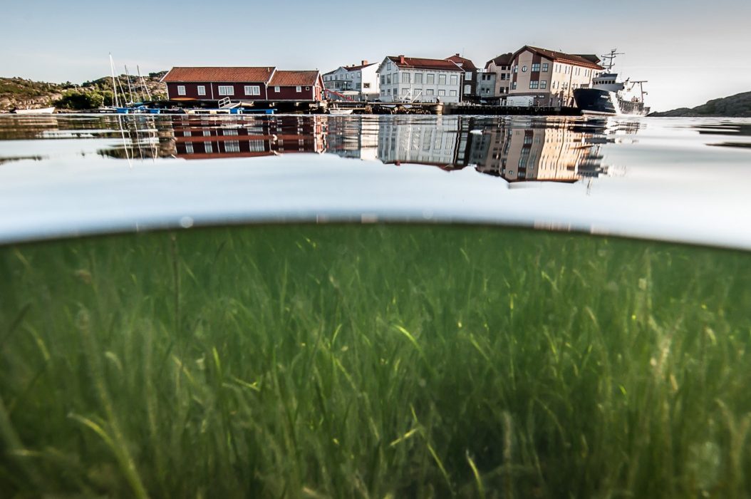 Forskningsstationen Kristineberg utanför Fiskebäckskil.