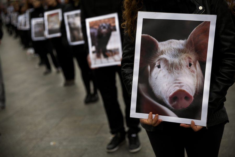 En djurrättsdemonstration i Madrid, Spanien.