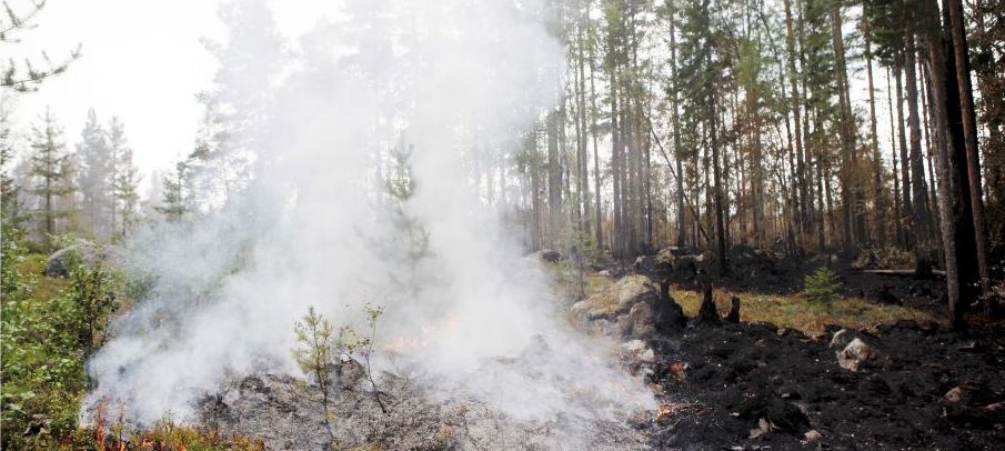 Risken för bränder i Västsverige har varit mycket hög de senaste dagarna.