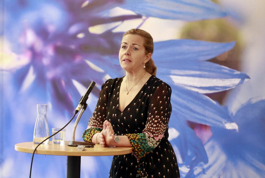 Cecilia Wikström är en av Sveriges mest inflytelserika politiker i Europaparlamentet.