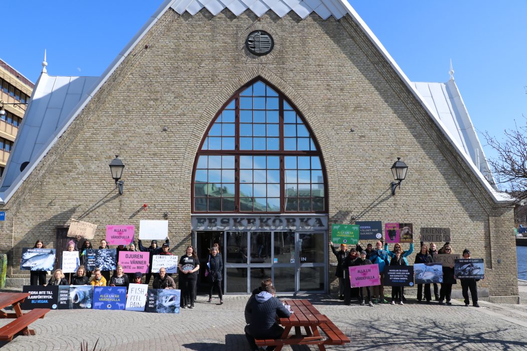 Göteborg fish save genomförde en vigil utanför Feskekörka tidigare i april.