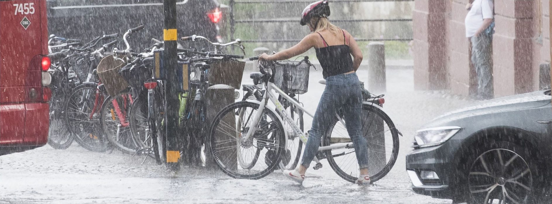 För att förhindra framtida översvämningar i Stockholm planteras bland annat växtbäddar runt om i staden för att göra den bättre rustad för kraftiga regn.