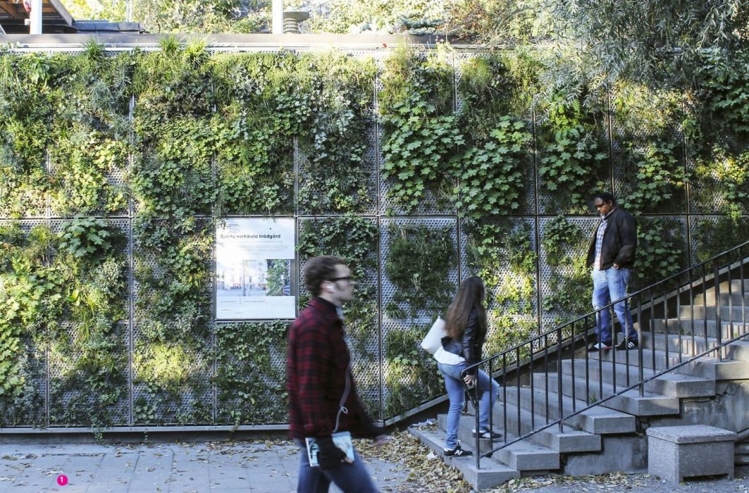 Grön vägg i Stockholm vid Björns trädgård.