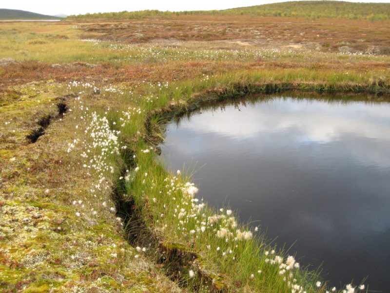 I Tavvavuoma norr om Kiruna bildas nya sjöar när marken kollapsar.